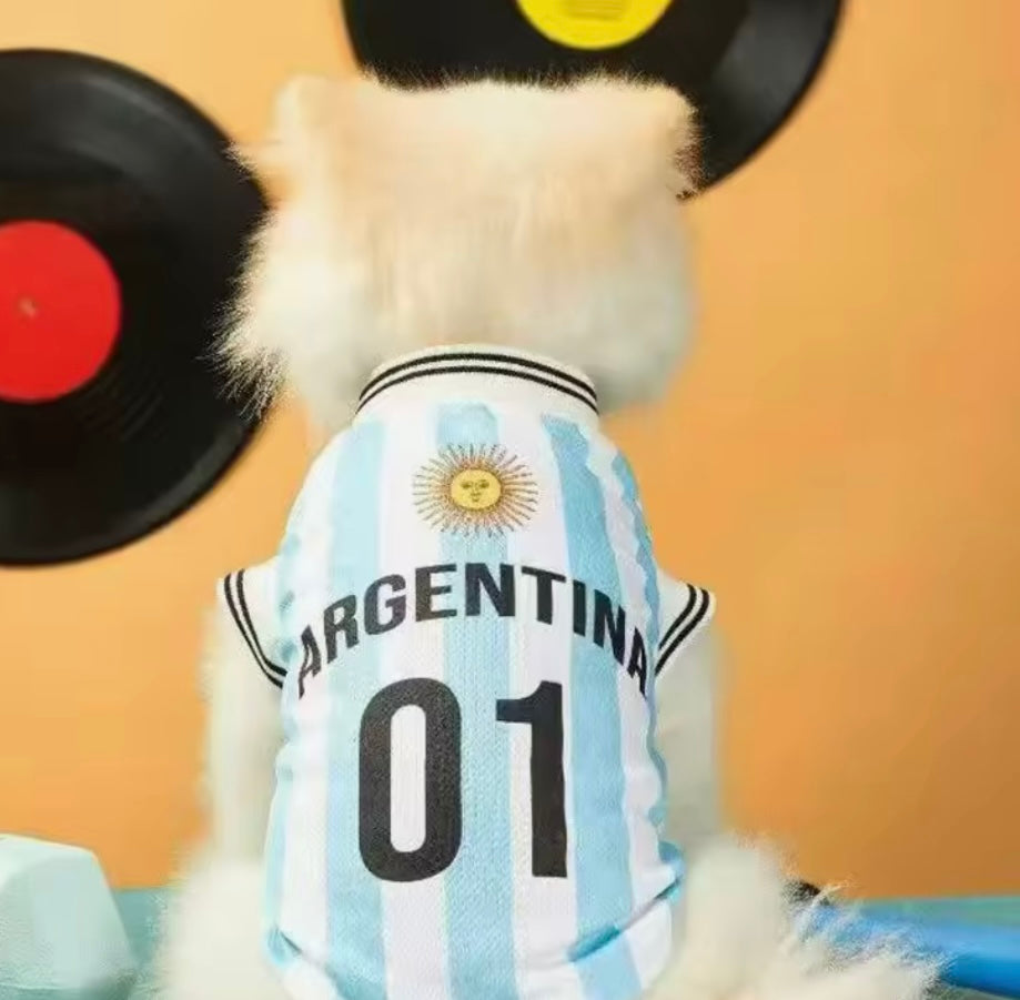 Maillot de foot pour chien