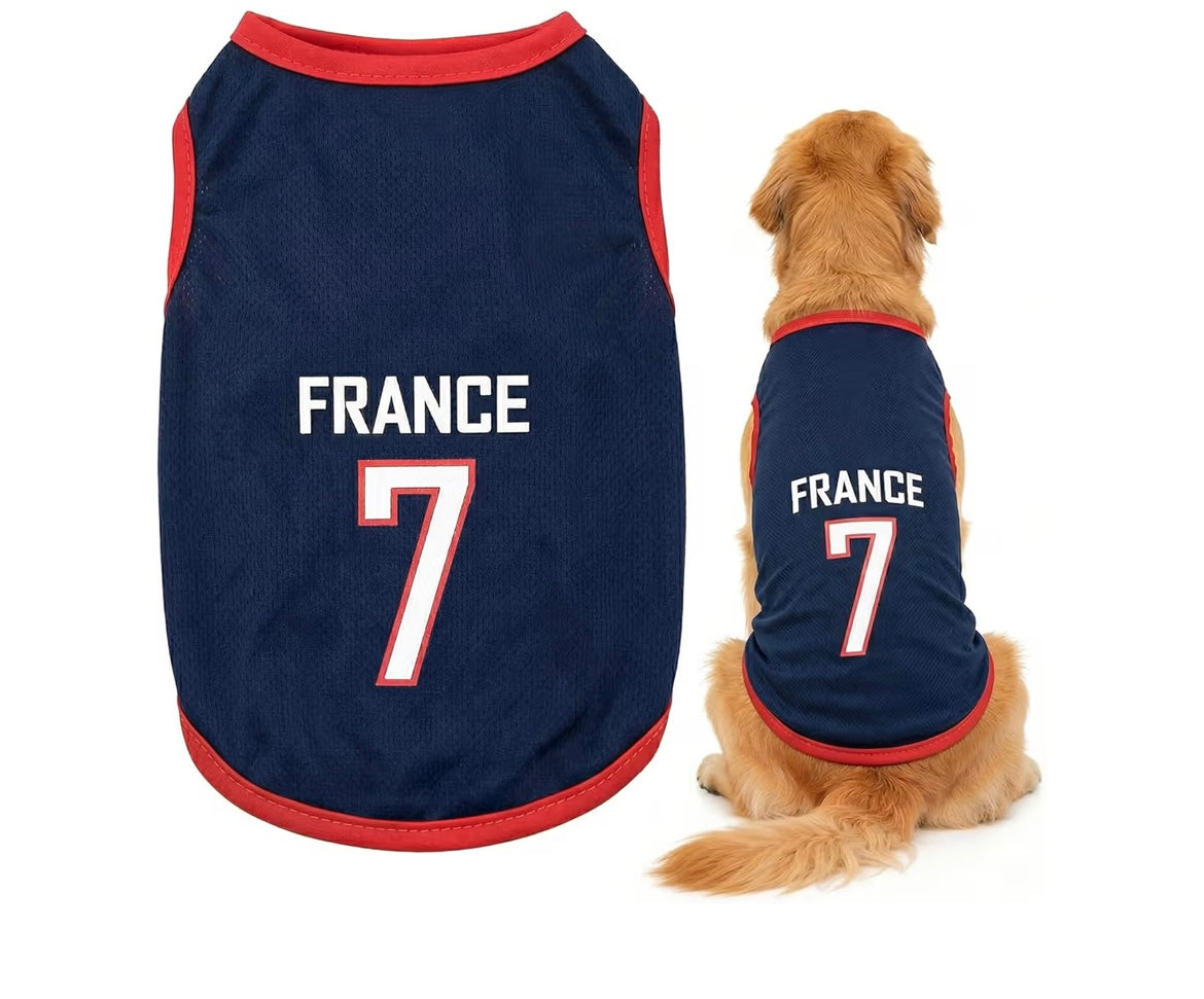 Maillot de foot pour chien